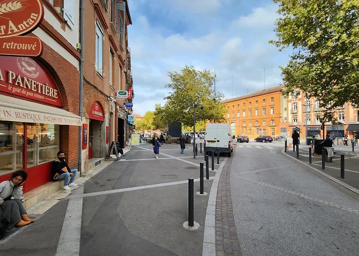 Le Jardin D'eden Premium - Equipe, Balcon, Hypercentre * Toulouse