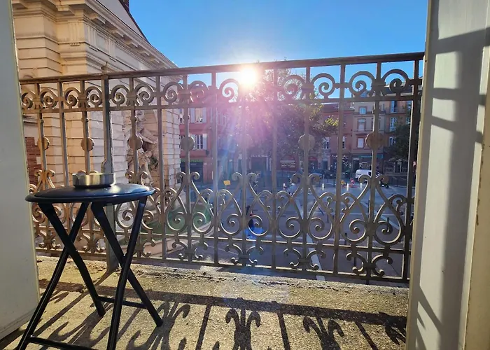 Le Jardin D'eden Premium - Equipe, Balcon, Hypercentre Lejlighed Toulouse